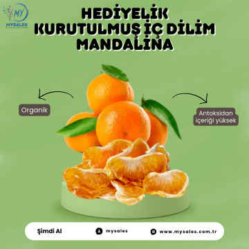KURUTULMUŞ İÇ DİLİM MANDALİNA 
