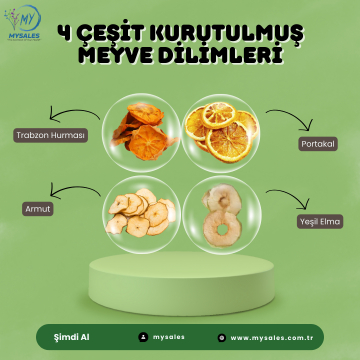 KURUTULMUŞ MEYVE DİLİMLERİ 