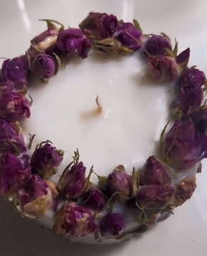 TOMURCUK GÜLLÜ MUM 