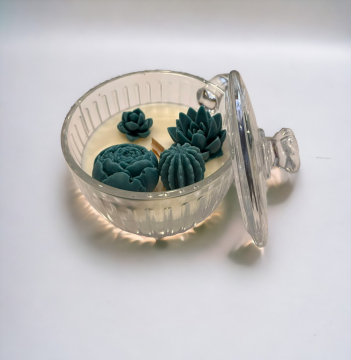 CAM MUMLUK İÇERİSİNDE GÜL, SUKULENT VE KAKTÜS SETİ 