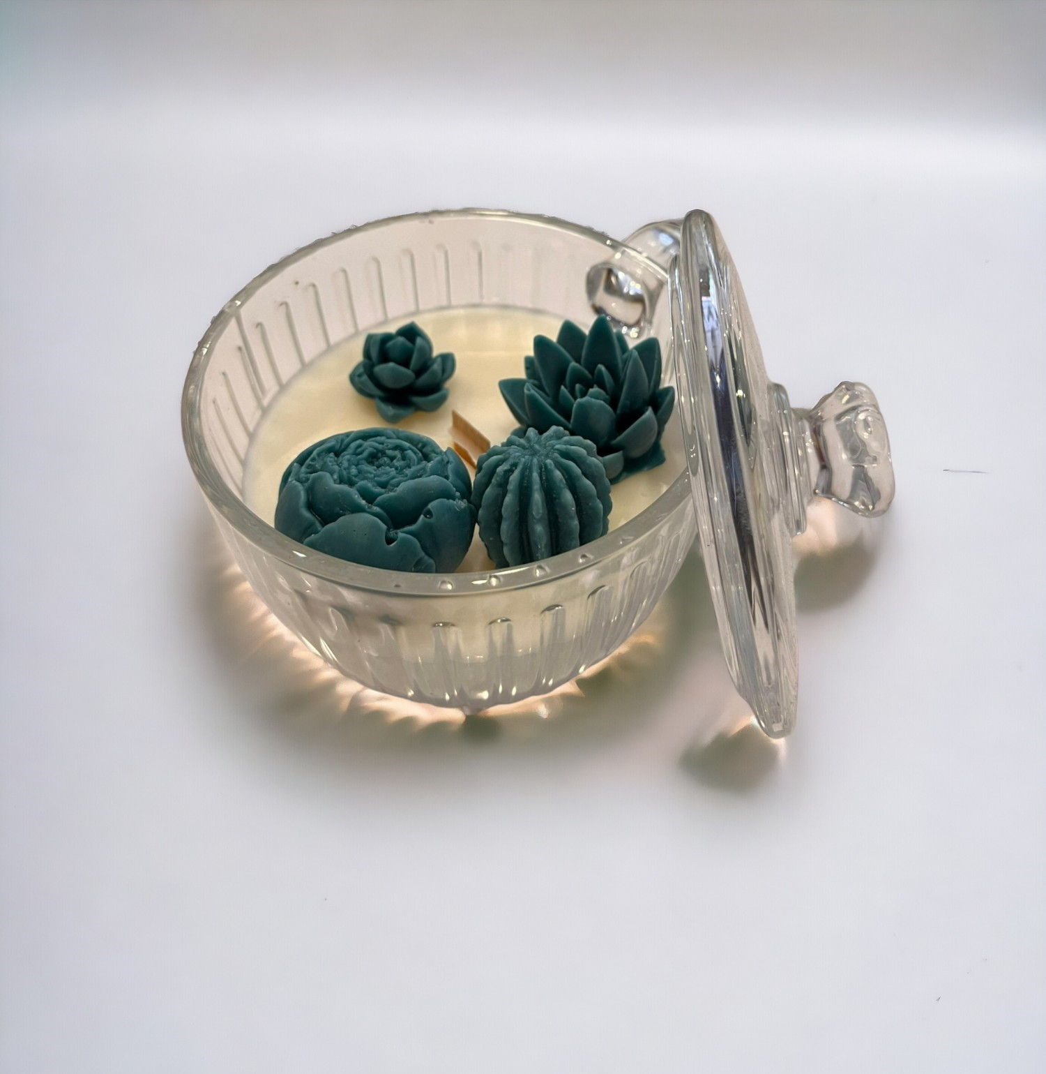 CAM MUMLUK İÇERİSİNDE GÜL, SUKULENT VE KAKTÜS SETİ