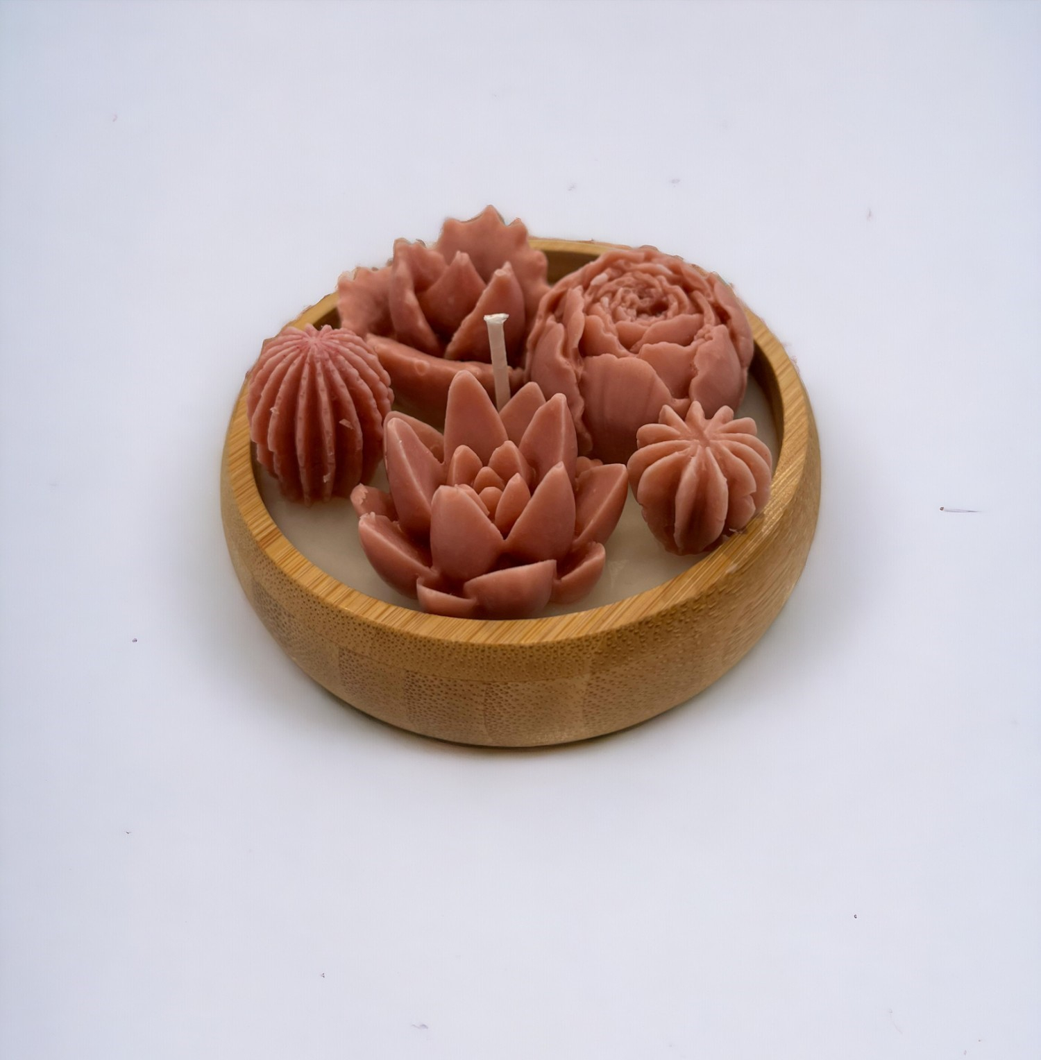 SUKULENT VE KAKTÜS SETİ